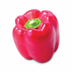 Paprika rood